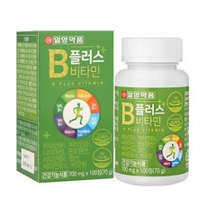 일양약품 B플러스 비타민B 100일분, 100정, 1개