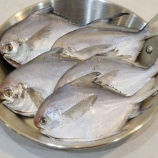 DDH 손질 병어 10마리 냉동생선 손질생선, 1개