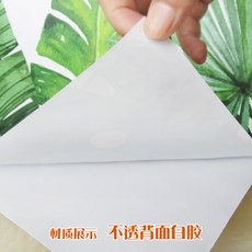 나무자전거거실창문