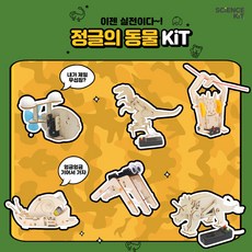 부산제트스키체험