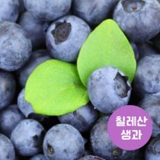 칠레산 블루베리 생과 크기 14mm 팩당 125g, 1박스, 10팩