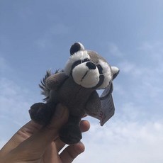 구체관절작은키