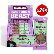 미스터비스트 초콜릿 피스터블 밀크초콜릿 미니사이즈 35g 24팩, 24개
