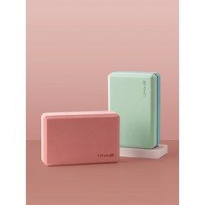 디올롤러백
