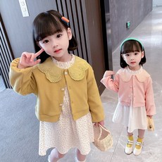 알퐁소스키