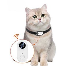 고양이 목 카메라 반려동물 액션캠 인식표 CCTV, 블랙 (내장 배터리 약 200분 지속) 64G, 1개