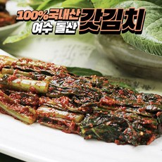 비비고갓김치