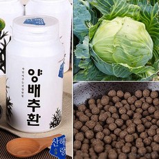 (양심을 파는 양심판촉)양배추환 챙기는 내 하루세번 신선함 몸 식전 상쾌하고 자연의 법 300g 건강한 전륜 청정한 (국내 단하나 vvipgift.net), 상세페이지 참조, 상세페이지 참조