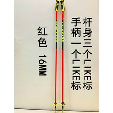 스키폴대