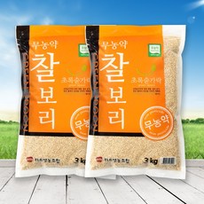 보리소
