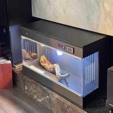 파충류 유리 사육장 도마뱀 카멜레온 양서류 케이지, 1개