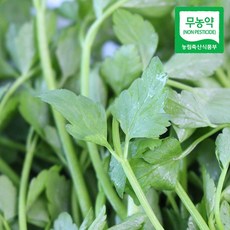 [햇님농장] 청도 무농약 한재 미나리 5kg, 1세트