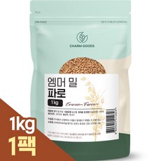 파로 TOP01