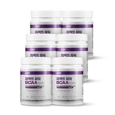 칼로바이 퍼펙트 파워 BCAA 6000 아미노산, 6개, 300g