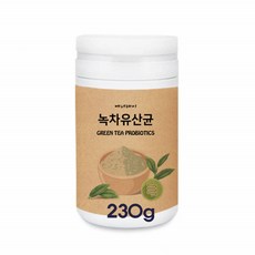 녹차 유래 유산균 분말 가루 락토바실러스 가제리 플란타룸 루테리 프리 프로 신 바이오틱스 국내산 발효 제주 그린티 김치 모유유래