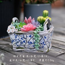 다육이 식물 화분 분당 화자기 가든 베란다, AA_에