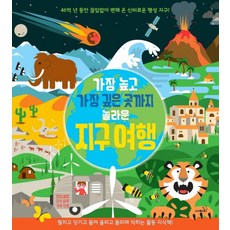 홍정기ssl
