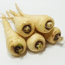 파스닙 500g 수입산 설탕당근 parsnip, 1개