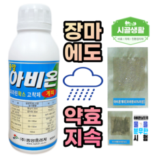 고착제