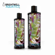 브라이트웰 바이오퓨엘 CWM, 1개, 500ml