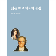 젊은베르테르의슬픔한비미디어 TOP01