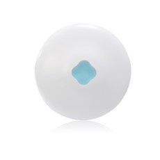 궁중비책수딩파우더25g