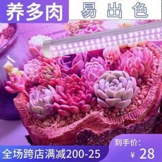 식물용 전구 보온 코빌론 다육보광등 컬러풀 스펙트럼 LED 가정용 난꽃채소 태양식물생장등, 01 기타, 01 기타, 01 적청 스펙트럼 0.6m 12W