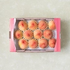 냉동블루베리칼로리