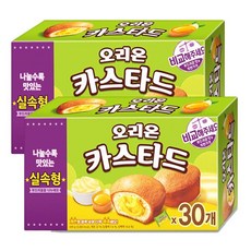 오리온 카스타드 실속형 30개입 X 2박스, 2개
