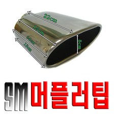 sm5머플러