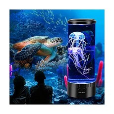 나이트아쿠아리움