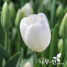 b65a0b8079c42bde36a8a83cbd6dfb7bd4691898c50d7a054f3cb8e3c218.jpg
