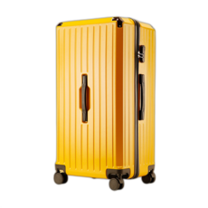 27인치캐리어 TOP01