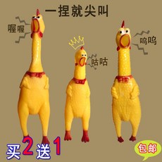 두다피트니스