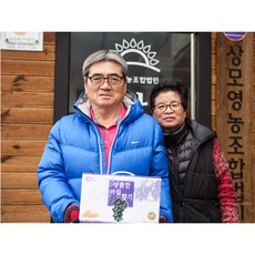(프로모션)물 한방울 넣지 않고 껍질 씨까지 착즙하여 싱싱한 유기농 영동 포도즙 120ml, 120ml 50포