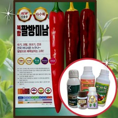 2025년 복합 팔방미남 1200립 신품종 고추씨앗 중조생 대과종 보통매운맛 바른씨드, 1개, 500ml