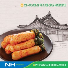 한국농협김치 청산 총각김치5kg, 단품