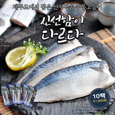 추동고등어