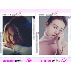 십자수사진도안