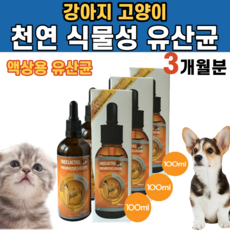 던킨먼치킨