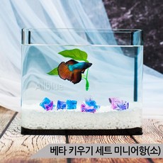 베타 키우기세트 미니어항 소 사료포함 스타터세트, 상세설명 참조
