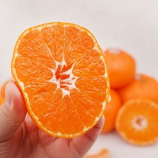 f87f2083d99be937f246603f7ed533364c9740e19d6c214f4d4c94c7c6cf.jpg