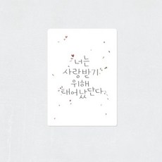 콩제슬래드성장기록카드