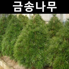 a8bcb552fff475c01ce9e1bbd594c0e13bb3133a0e9e28a336f80f981300.jpg