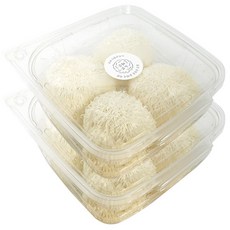 울진 무농약 생 노루궁뎅이버섯 4P X 2세트 (480g내외), 480g, 1개