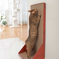 가리가리 월플러스(3748)