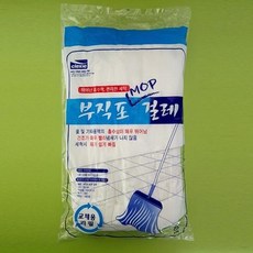 윤성팡 부직포 MOP 걸레 밀대, 1