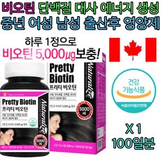 바이오실 TOP01