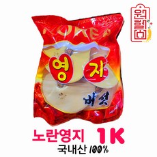 원헬스 국내산 영지버섯 1K/8개입 국산100% 노란영지, 1개