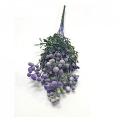 유칼립투스생화리스원데이